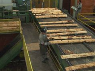 Photo 4 Sawmill