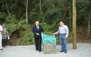 Foto 6 de 2009